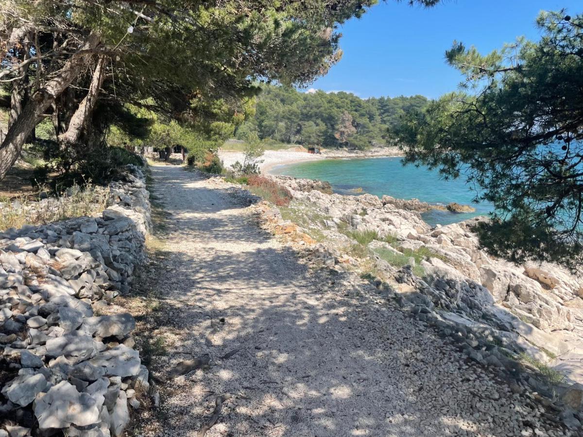 Luxury Seaside Villa With A Classic Mediterranean Olive Garden, A Fully Equipped Professional Kitchen, Pool, Sauna, Padle Boards And Canoe - Miolin Beach House 트로기르 외부 사진